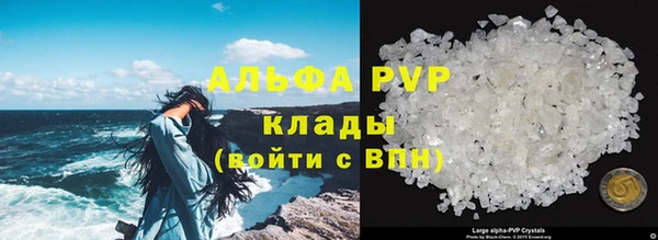 спайс Богданович
