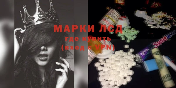 спайс Богданович