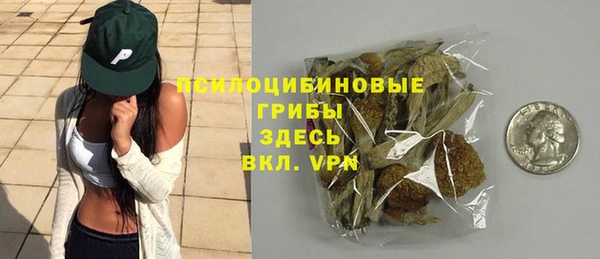 бошки Богородицк