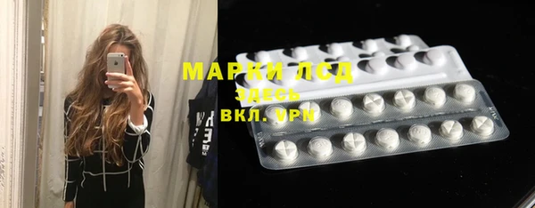 спайс Богданович