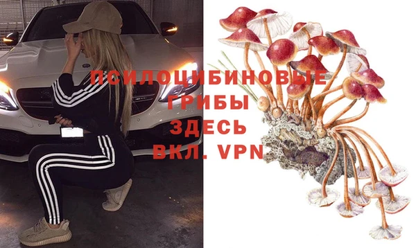 спайс Богданович