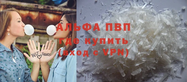 спайс Богданович